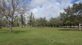 Enlarge photo 36