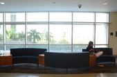 Enlarge photo 62