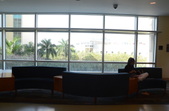 Enlarge photo 63