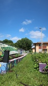 Enlarge photo 25