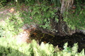 Enlarge photo 44