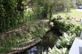 Enlarge photo 47