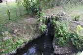 Enlarge photo 76