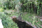 Enlarge photo 78