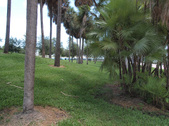 Enlarge photo 34