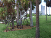 Enlarge photo 35