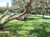 Enlarge photo 36