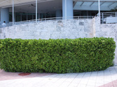 Enlarge photo 39