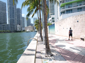 Enlarge photo 45