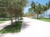 Enlarge photo 49