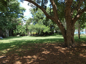 Enlarge photo 61