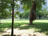 Enlarge photo 62