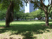 Enlarge photo 63
