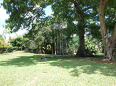 Enlarge photo 64