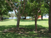 Enlarge photo 66