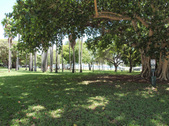 Enlarge photo 72