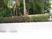 Enlarge photo 78