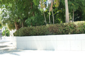 Enlarge photo 79