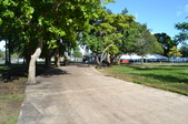 Enlarge photo 71