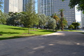 Enlarge photo 75