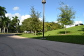 Enlarge photo 81