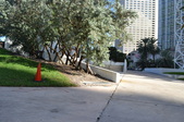 Enlarge photo 82