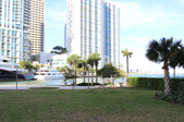 Enlarge photo 42