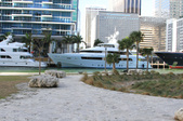 Enlarge photo 50