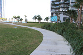 Enlarge photo 53