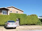 Enlarge photo 44