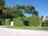 Enlarge photo 46