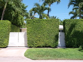 Enlarge photo 47