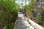 Enlarge photo 47