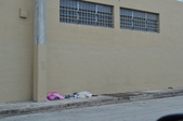 Enlarge photo 97