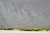 Enlarge photo 113