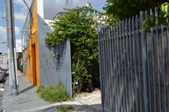 Enlarge photo 230