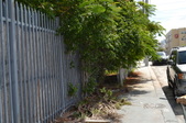 Enlarge photo 234