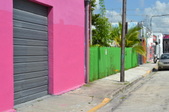 Enlarge photo 257