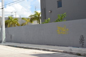 Enlarge photo 258