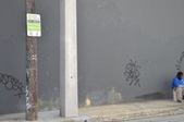 Enlarge photo 261