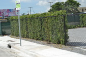 Enlarge photo 263