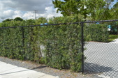 Enlarge photo 266