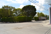 Enlarge photo 291