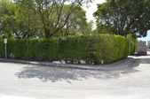 Enlarge photo 294