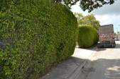 Enlarge photo 297
