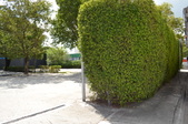 Enlarge photo 298