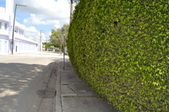 Enlarge photo 299