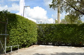Enlarge photo 301