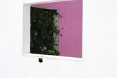 Enlarge photo 187