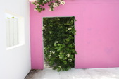 Enlarge photo 188